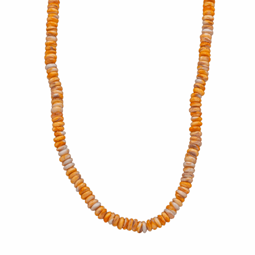 Lion's Paw Bead Necklace GZ NW 5761